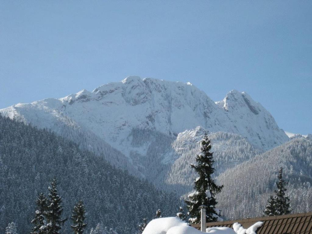 Apartments Zakopane Center Exterior photo